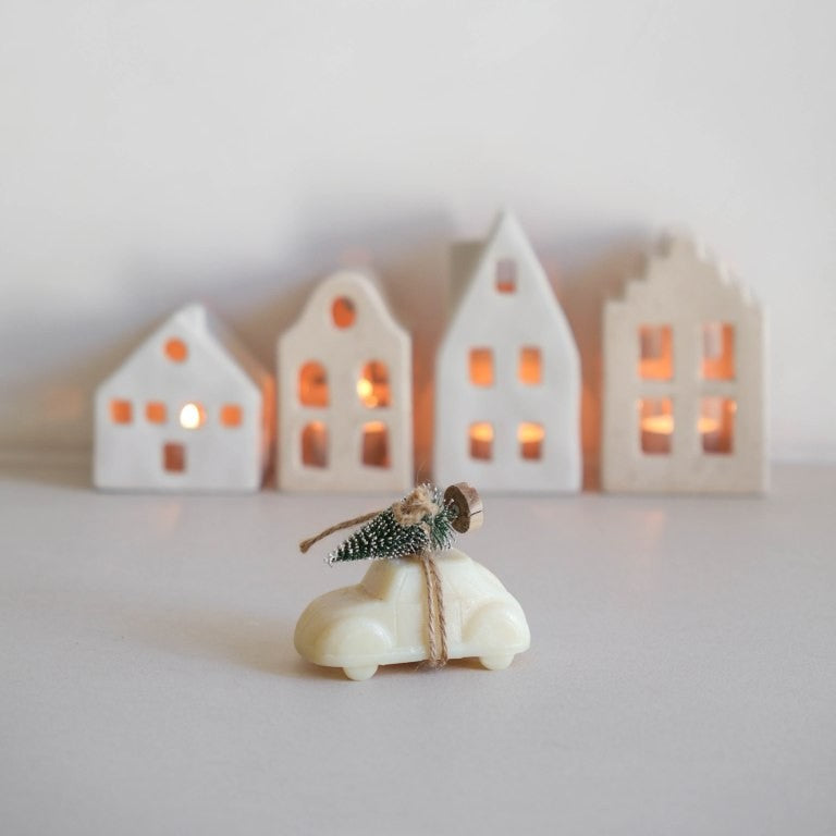 Leeff Soap bar with tree eucalyptus